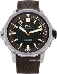 IWC Aquatimer IW341002