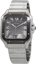 Cartier Santos De Cartier WSSA0037